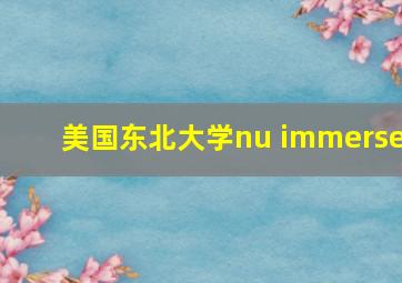 美国东北大学nu immerse